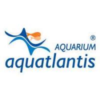 Aquatlantis