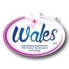ويلز