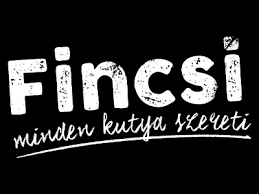 Fincsi