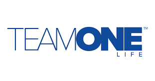 TEAMONE
