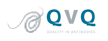 QVQ