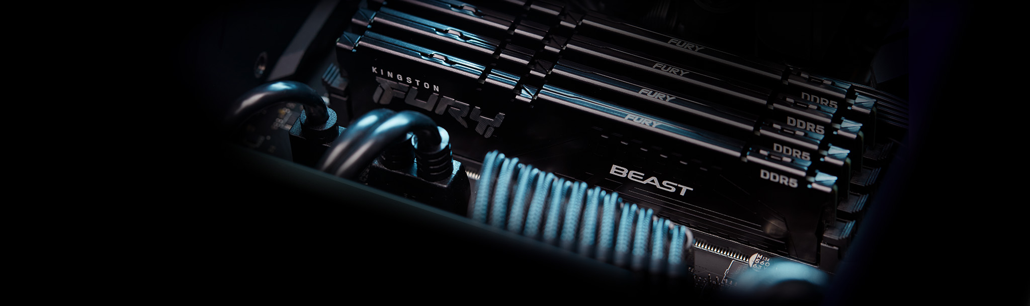 Kingston FURY Beast 16GB (1 x 16GB) 5600MHz DDR5 RAM
