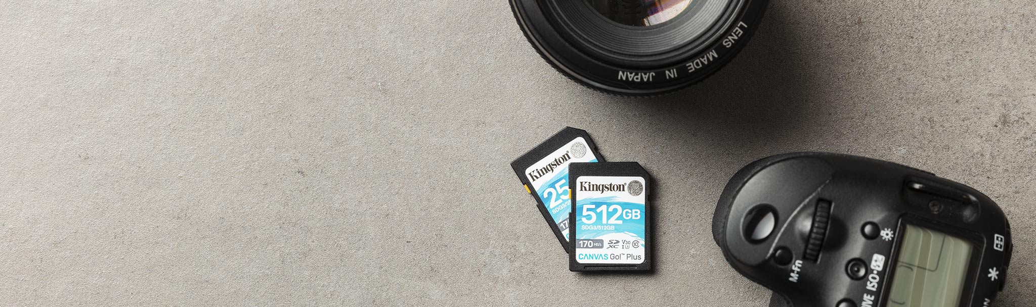 Kingston 128GB SDXC Canvas Go Plus 170MB /s C10, U3, V30 Memory Card