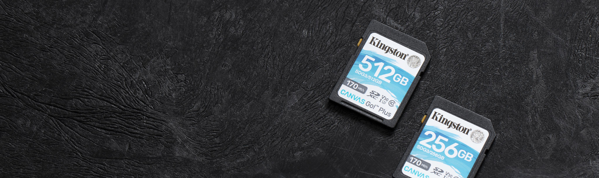 Kingston 64GB SDXC Canvas Go Plus 170MB /s C10, U3, V30 Memory Card