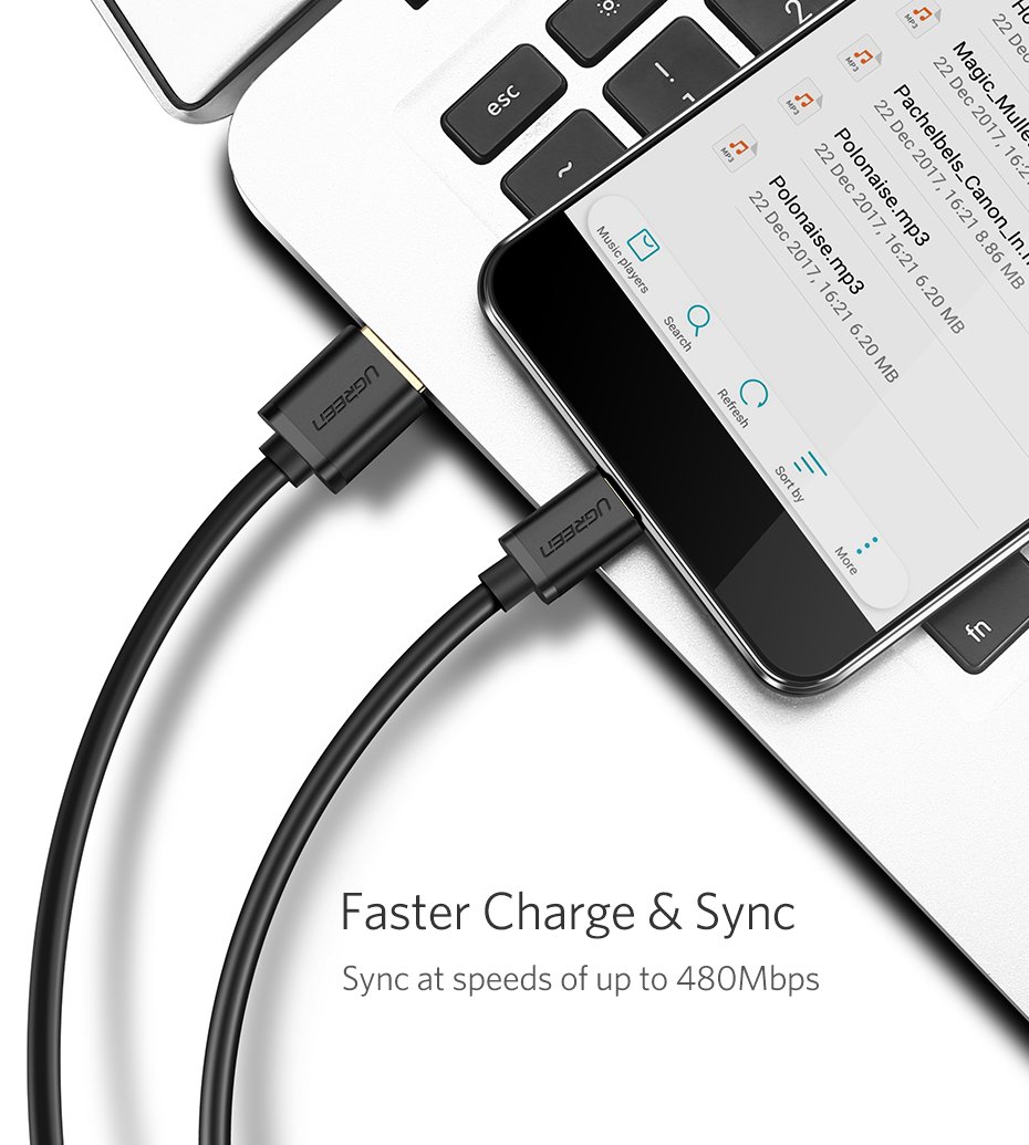 UGREEN US289 USB 2.0 to Micro Cable-1M