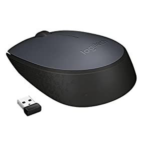 Logitech USB Wireless Mouse M170