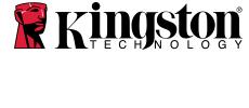 Kingston DTIG4/64GB USB 3.0 Stick Data Traveler (White+Purple)