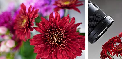 Sigma 24-70mm F2.8 DG DN Art for Sony E Lens
