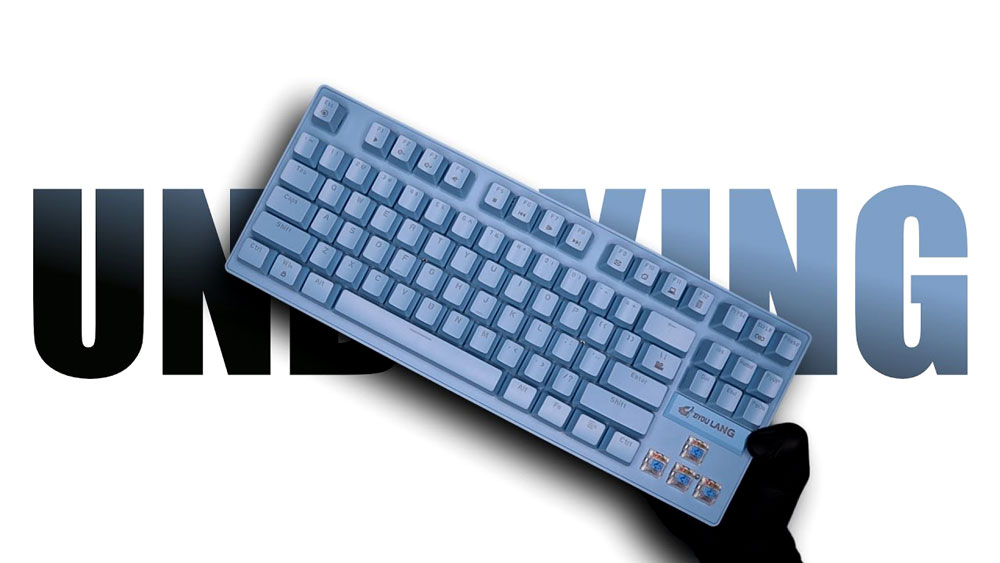 ZIYOULANG K2 RGB TKL MECHANICAL GAMING KEYBOARD BLUE SWITCH - BLUE