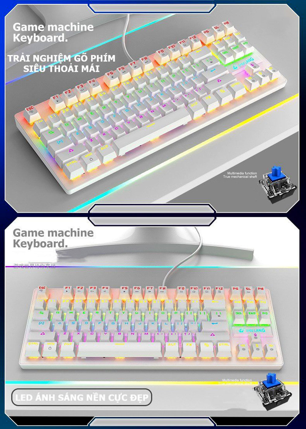 ZIYOULANG K2 RGB TKL MECHANICAL GAMING KEYBOARD BLUE SWITCH - WHITE