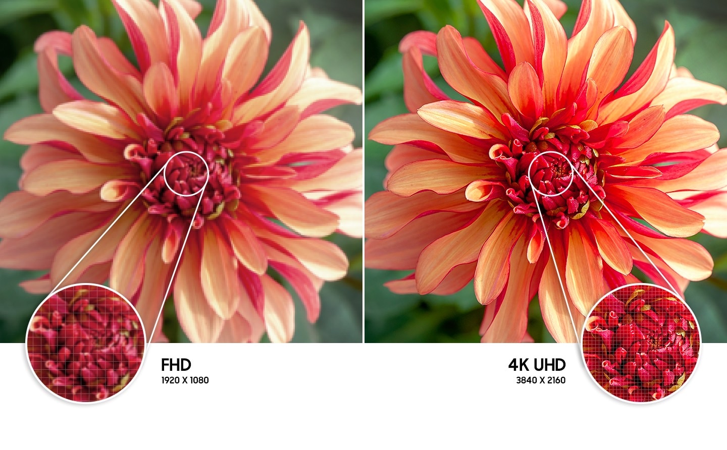 Samsung 55 Inch UHD 4K Smart TV AU7000